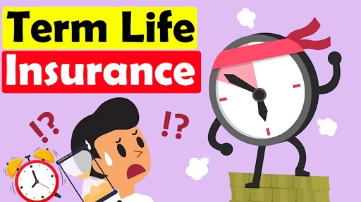 Term life insurance: What you need to know